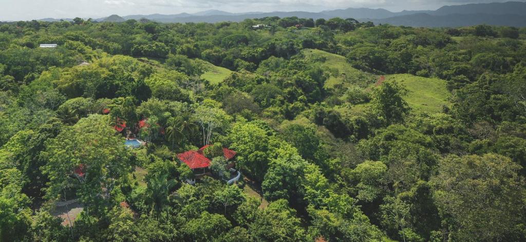 Finca Los Caballos Montezuma