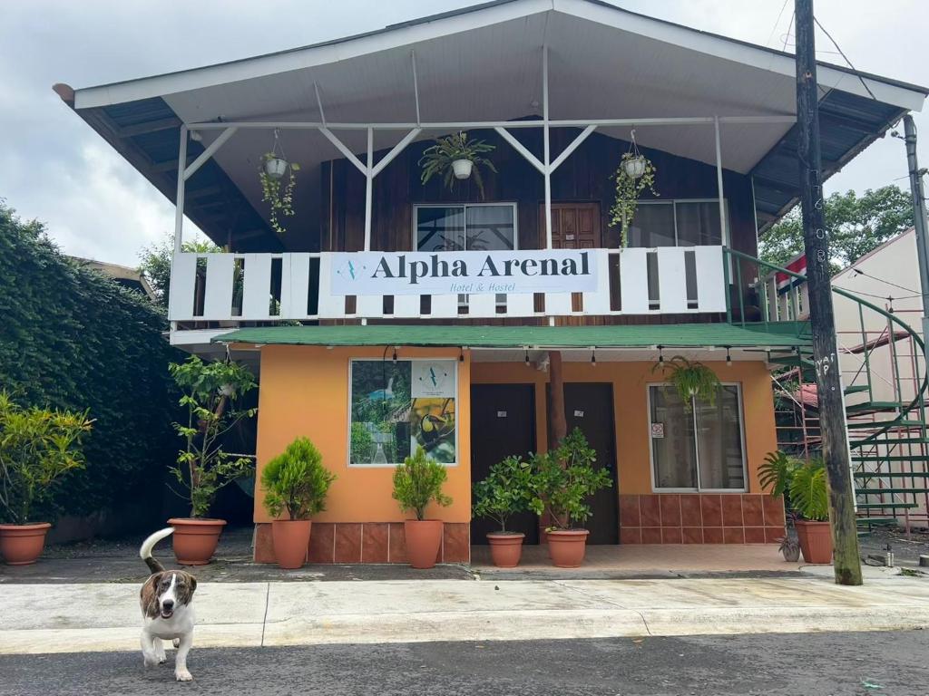 Alpha Arenal