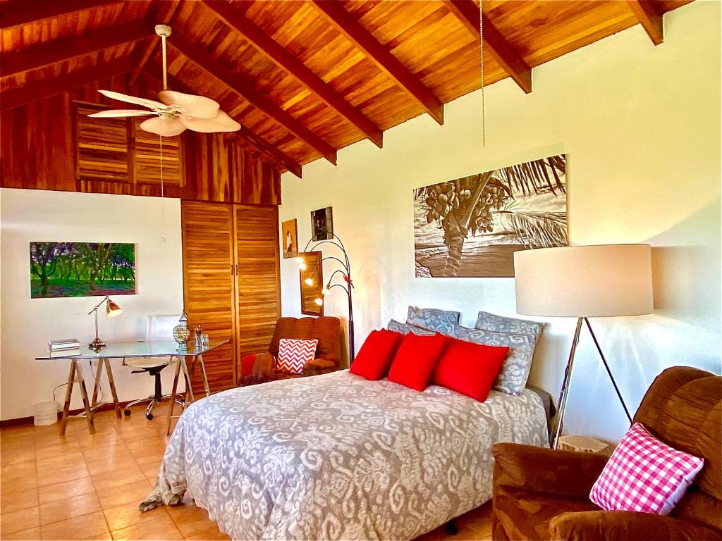 Magic Mountain Views Studio