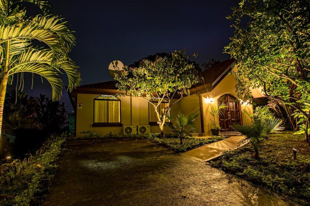 Anthurium house