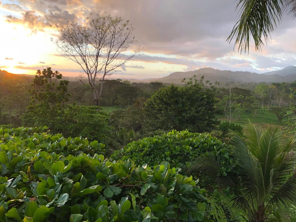 Beautiful estate in quiet surroundings close to beach