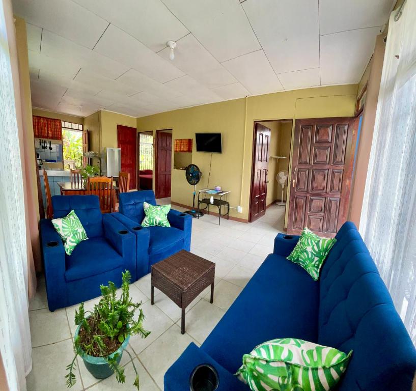 Blue House