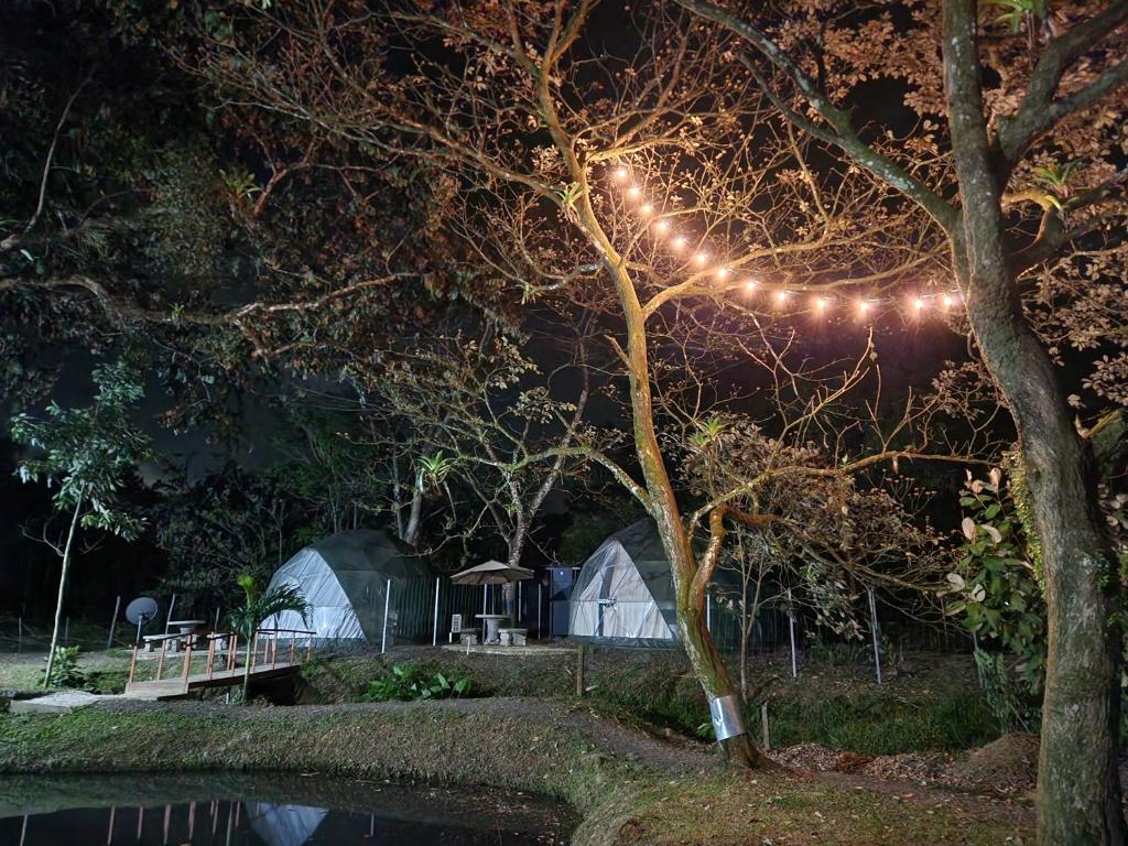 Cabaña del Lago
