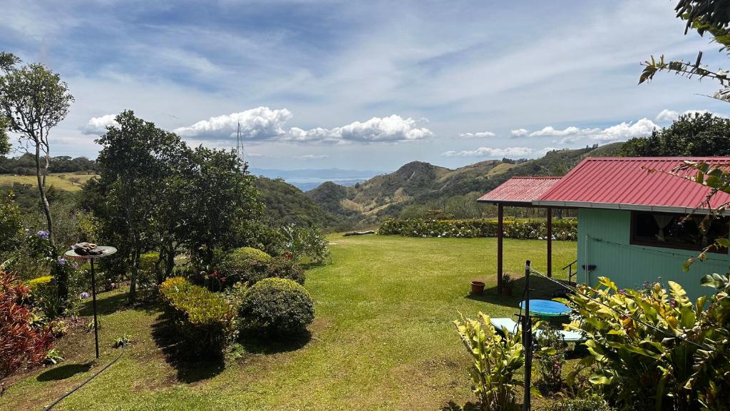 Campo Azul #3 - Monteverde