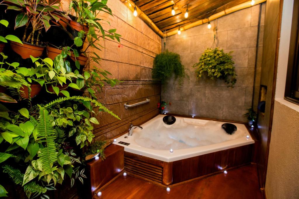 Casa Suculenta ,Monteverde con Jacuzzi Privado y Lavandería