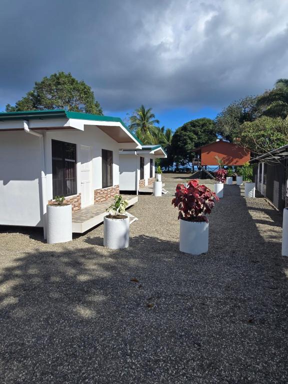 Casa Trogon 2BDRM AC 50M to the Beach
