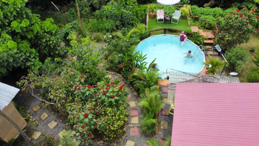 Cacao Lodge and Tours