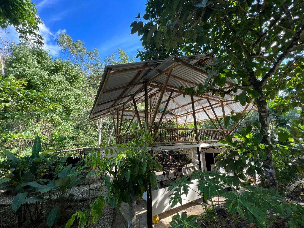 El Templo de los Guacamayos del Tigre