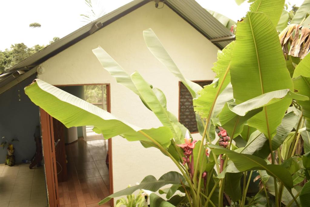 Casita Tangara con balcón y agua caliente