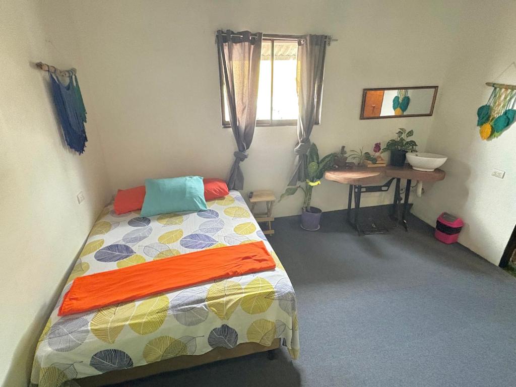 Cheap Hostel Quepos