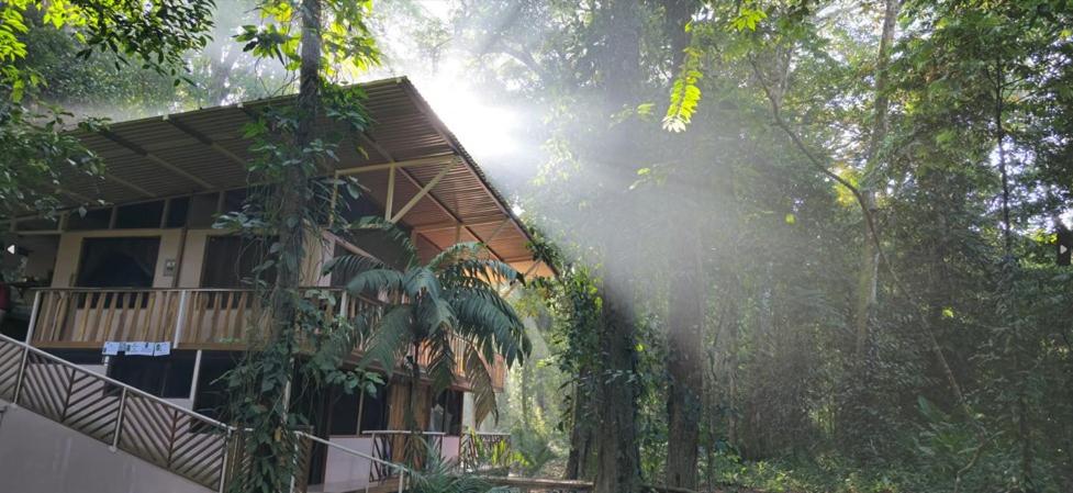 Cool Waters Jungle Hostel