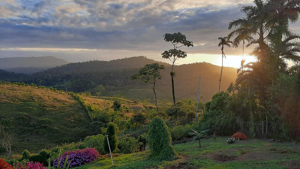 El rincon de las flores