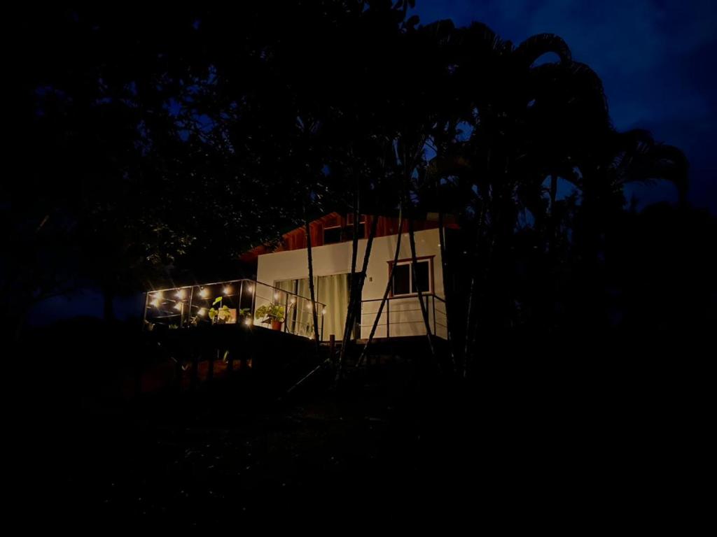 Ficus house