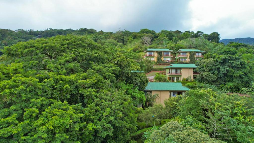 Ficus Sunset Suites