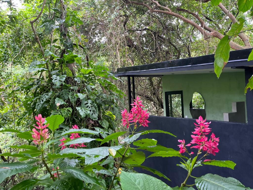 Inti Studio - Santa Teresa