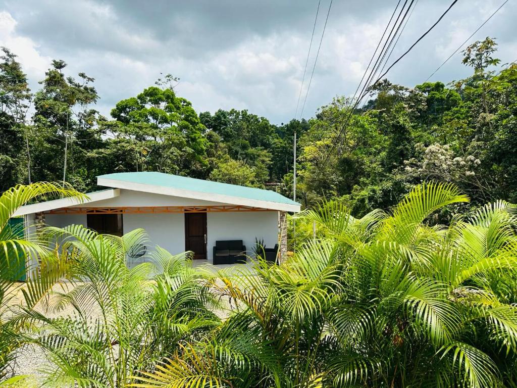 Jonka House Private Jungle Oasis