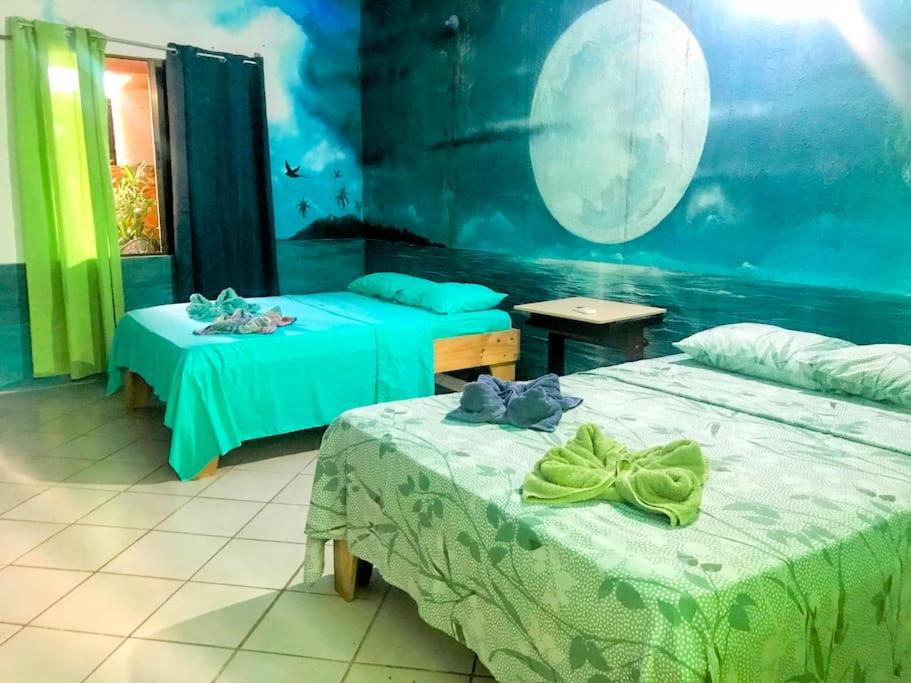 Cahuita Vibe