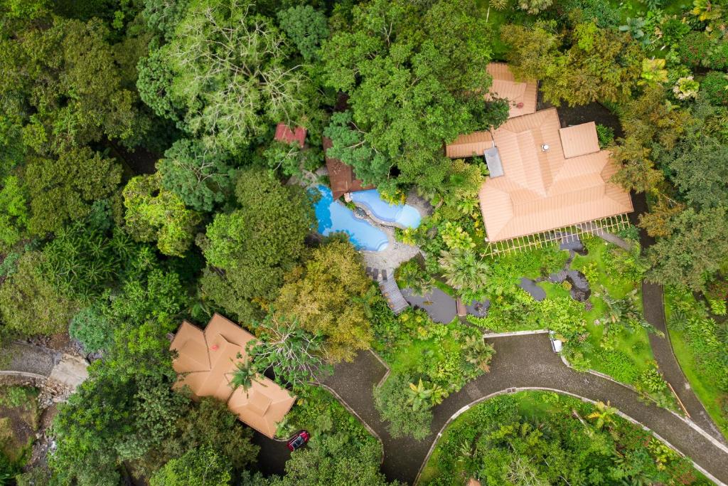 Lost Iguana Resort and Spa