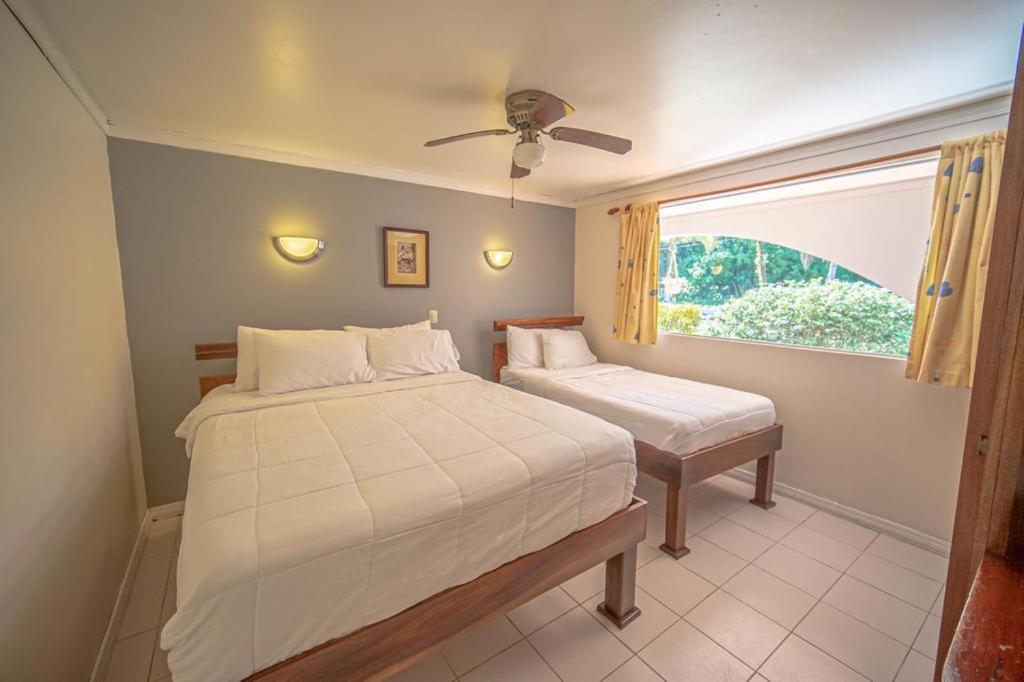 Lovely Condo near monkey habitat and beach