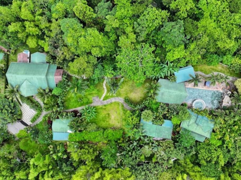 Luxury Villa and Bungalows