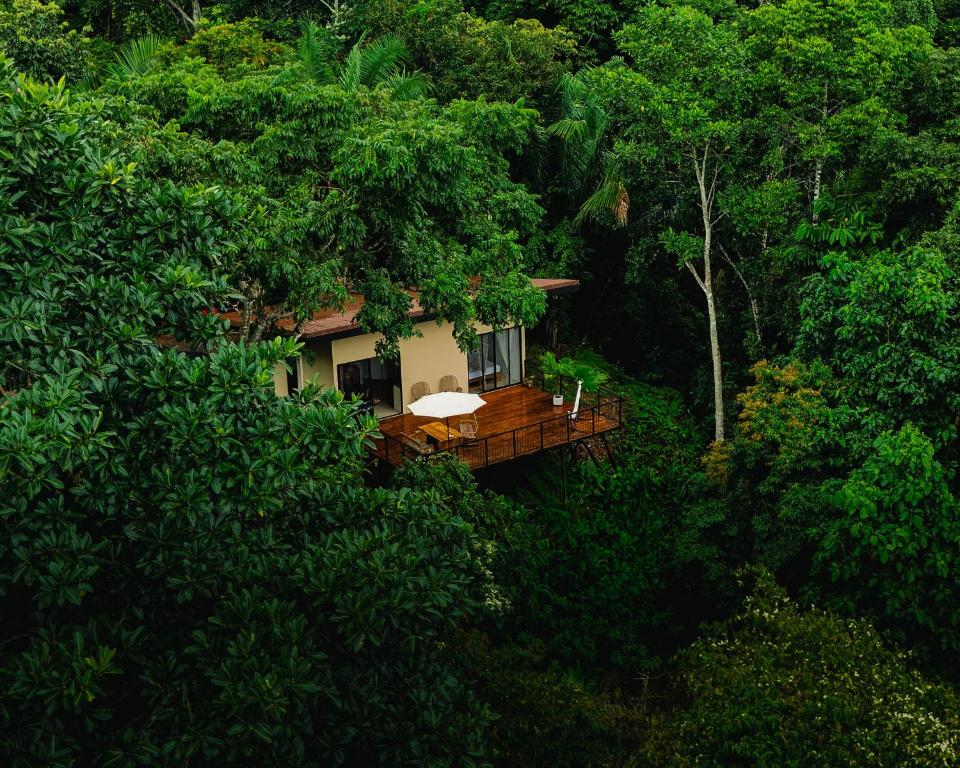 Maze Lodge