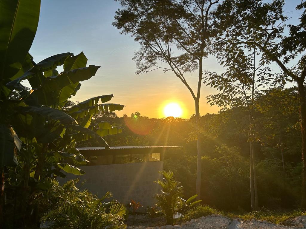 Modern House with Jungle Sunset View