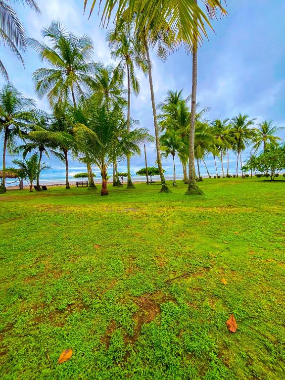 Oasis Esterillos