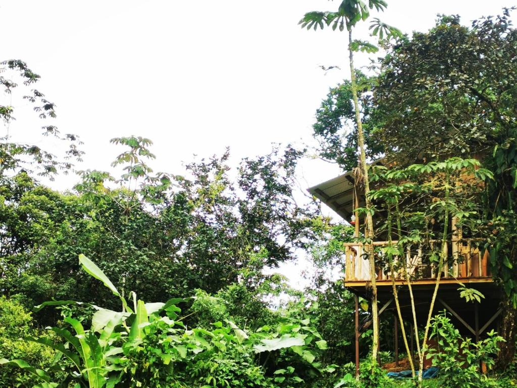 Papaya Lodge