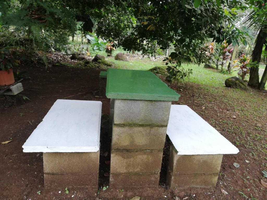 Paraíso Verde