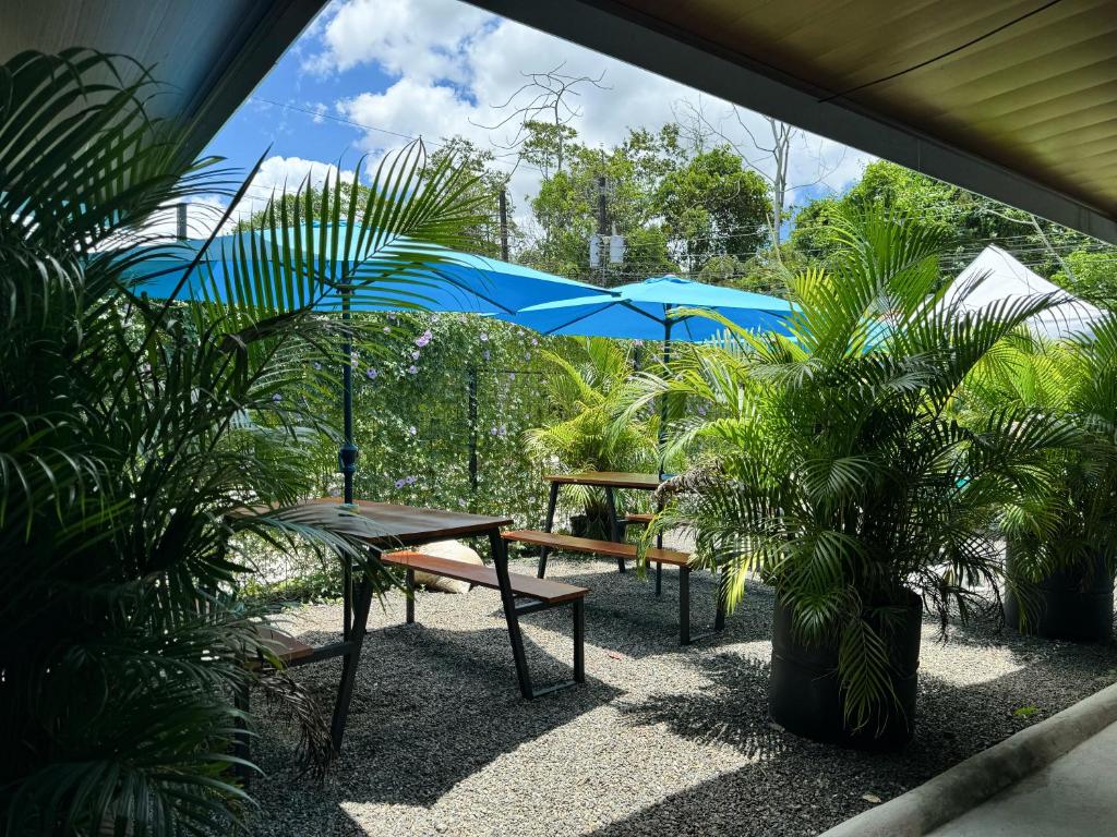 Pura Vibra Hostel