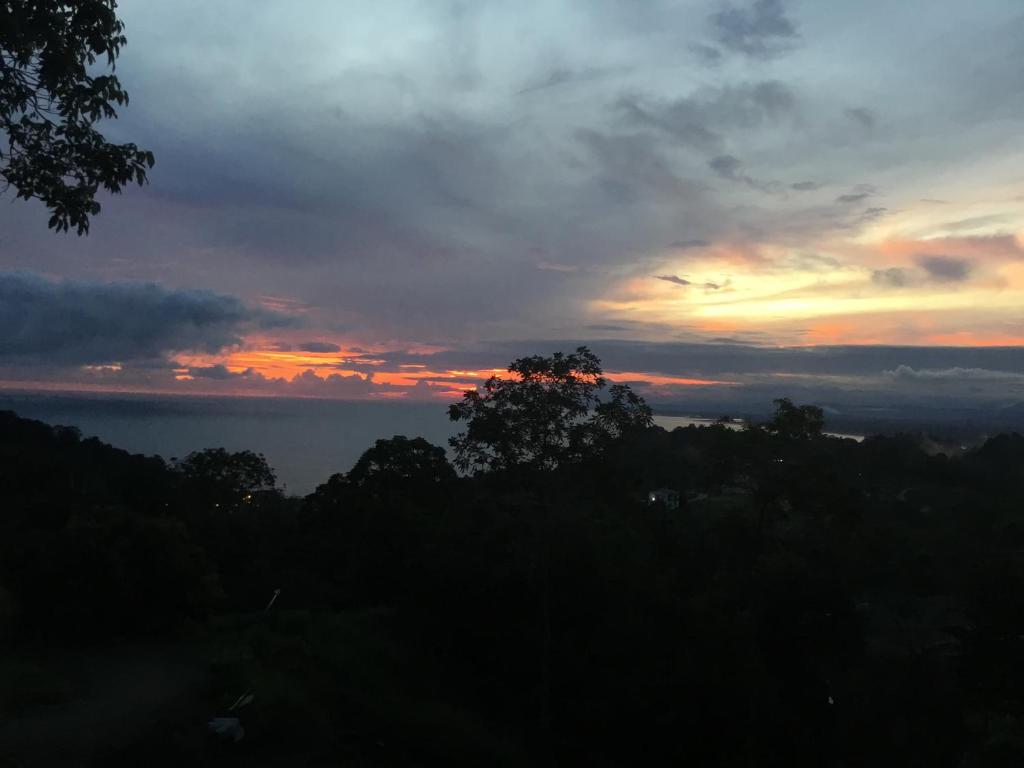Rose House Manuel Antonio