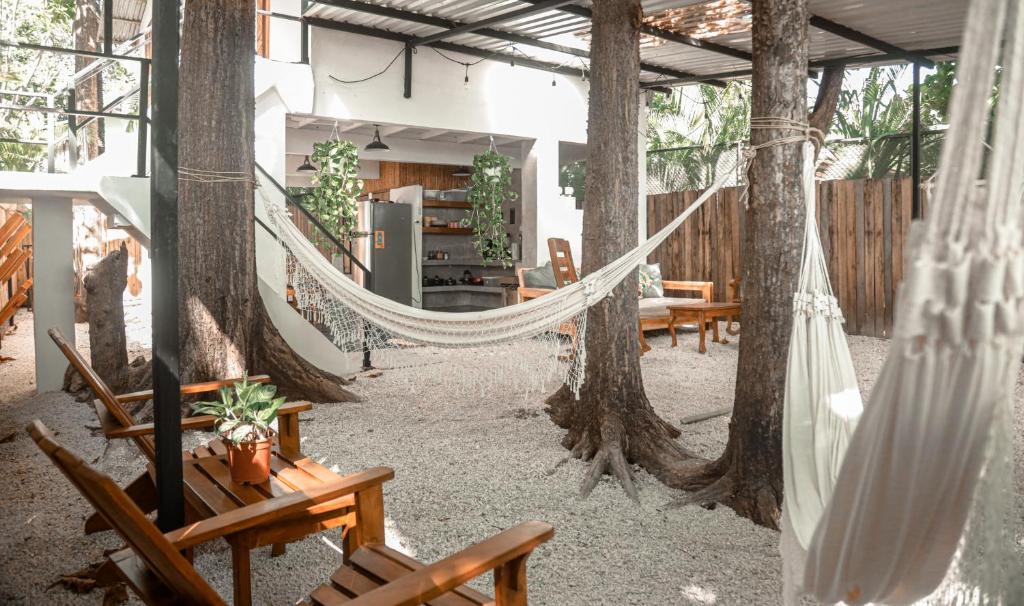 Zeneidas Surf Garden