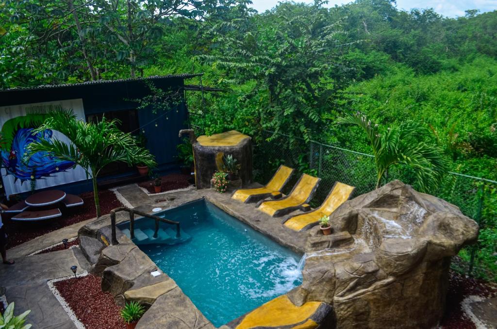 The Jungle Container