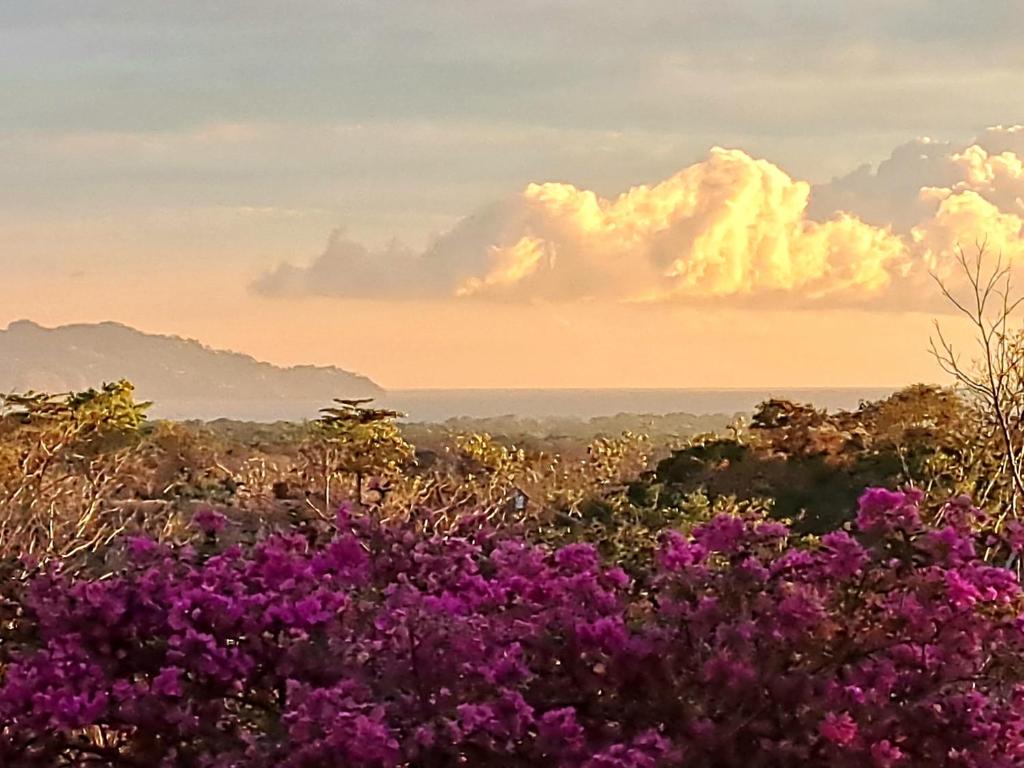 Tucanes Ridge Bed and Breakfast