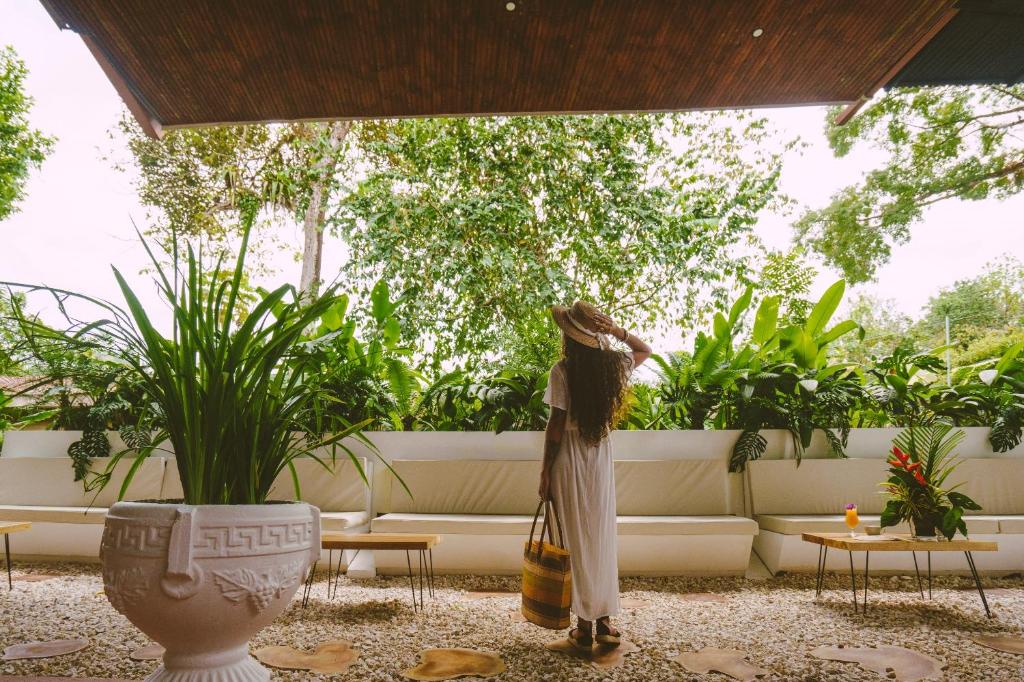 Hotel Villabosque Eco Boutique