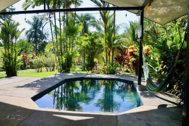 Walk to the beach, chill by the pool. Casa Sol!